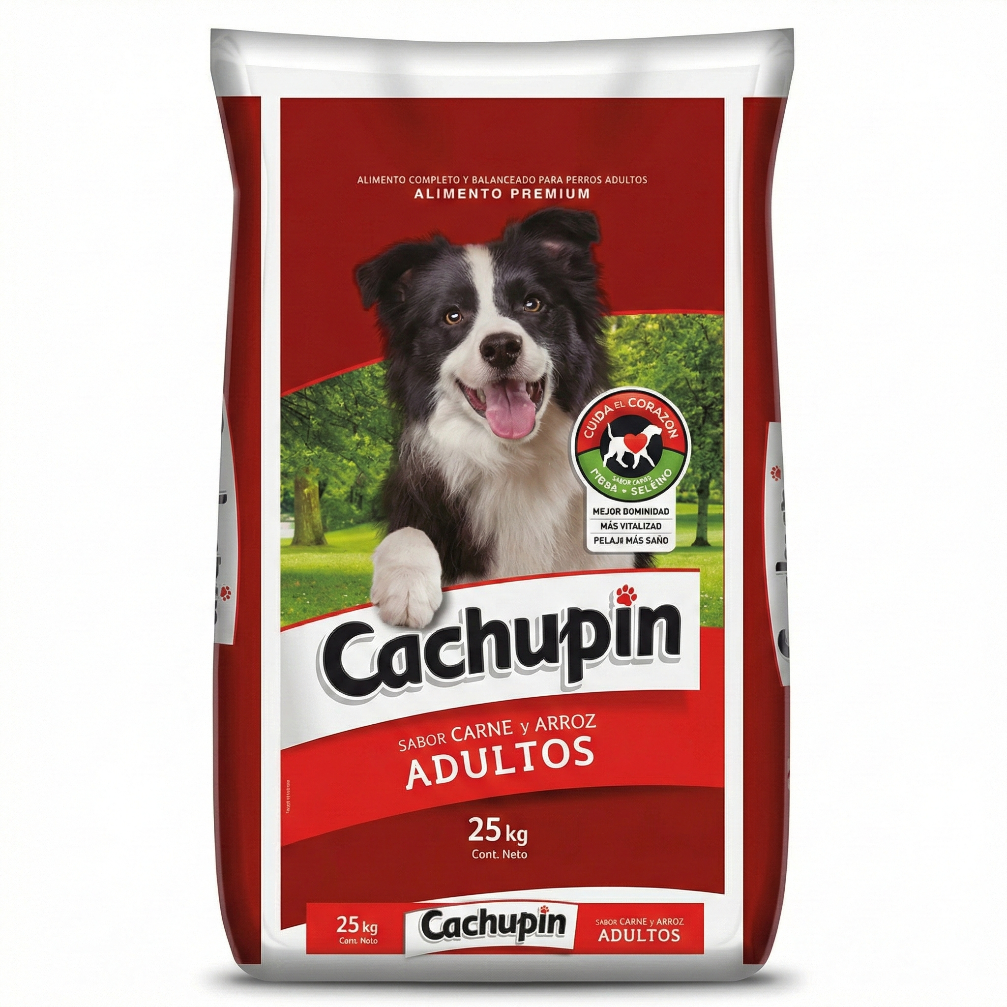 Cachupin adulto alimento para perro cntral nutrición pucón