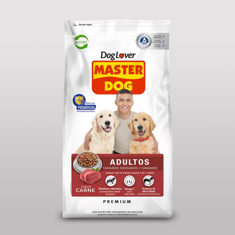 Master Dog Adulto