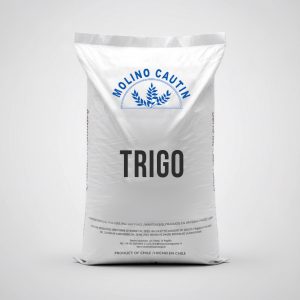 Trigo Blanco Consumo humano trigo mote Central Nutrición pucón Colo Colo 1190
