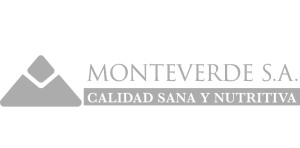 MONTEVERDE-GRIZ