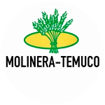 MolineraTemuco