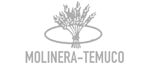 MolineraTemuco-GRIZ